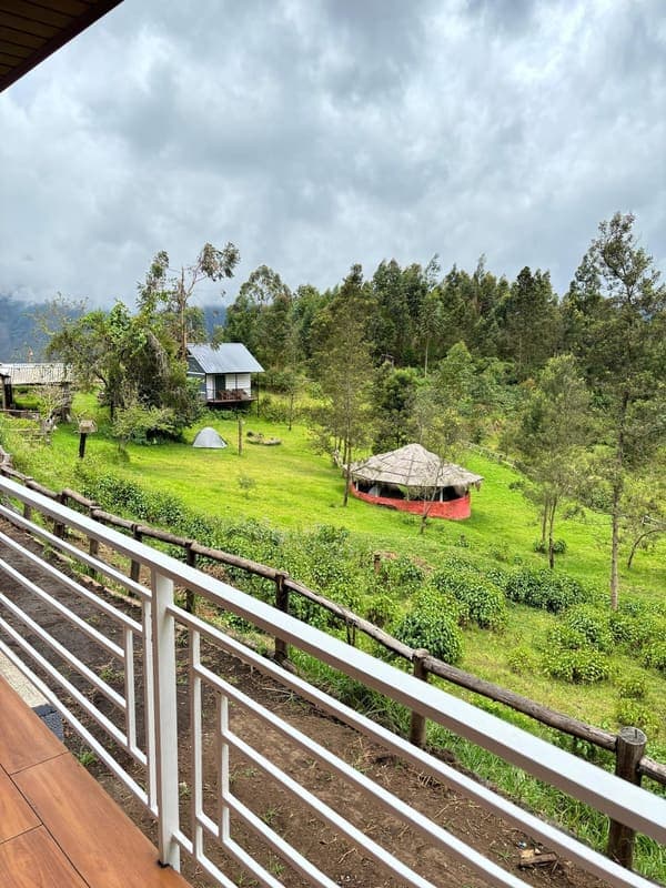 Camp Wildlink — 7-Acre Sustainable Farm Camping & Shola Wilderness