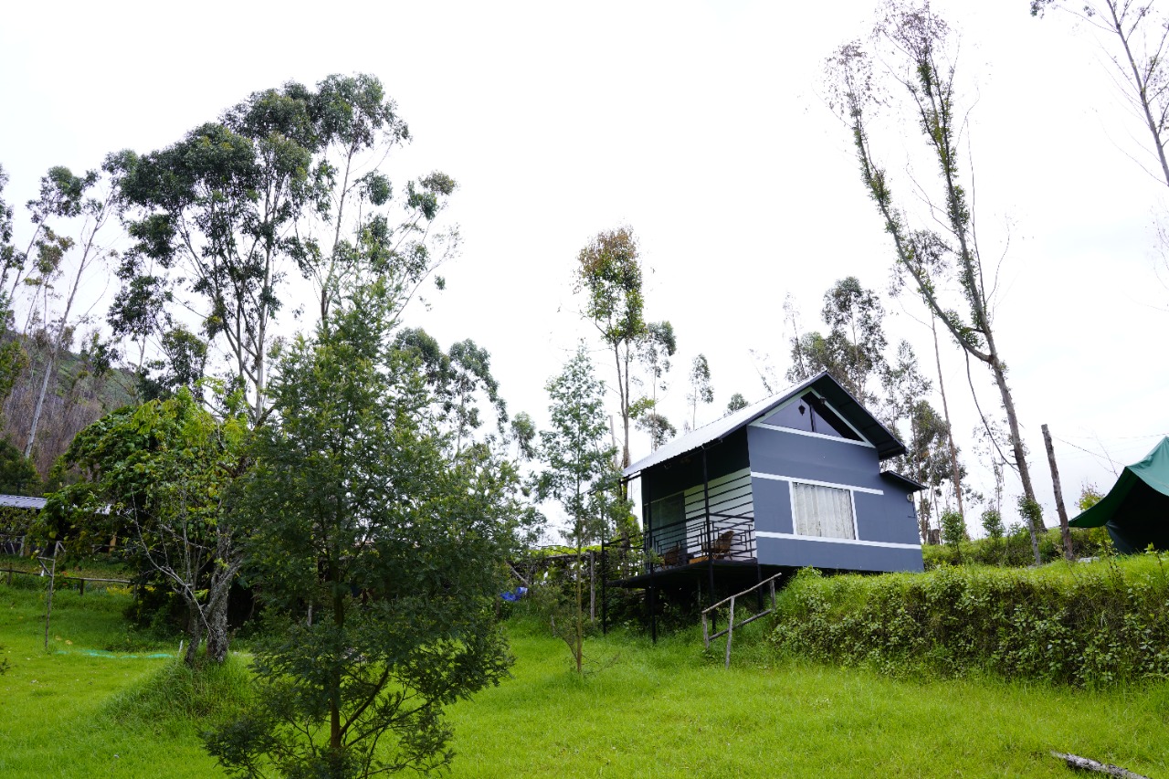 Camp Wildlink — 7-Acre Sustainable Farm Camping & Shola Wilderness Ridge Tent