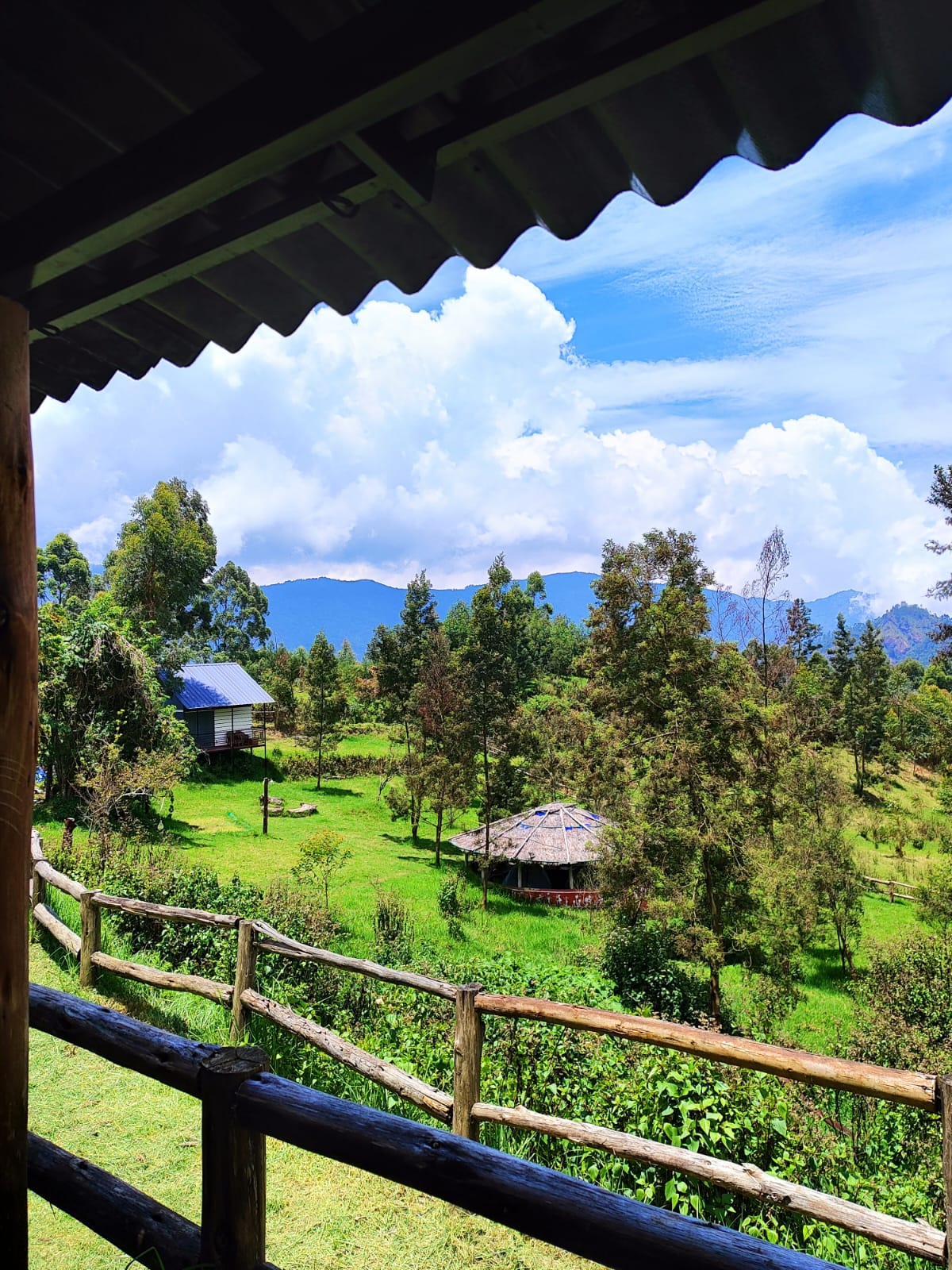 Camp Wildlink — 7-Acre Sustainable Farm Camping & Shola Wilderness Valley Sunset